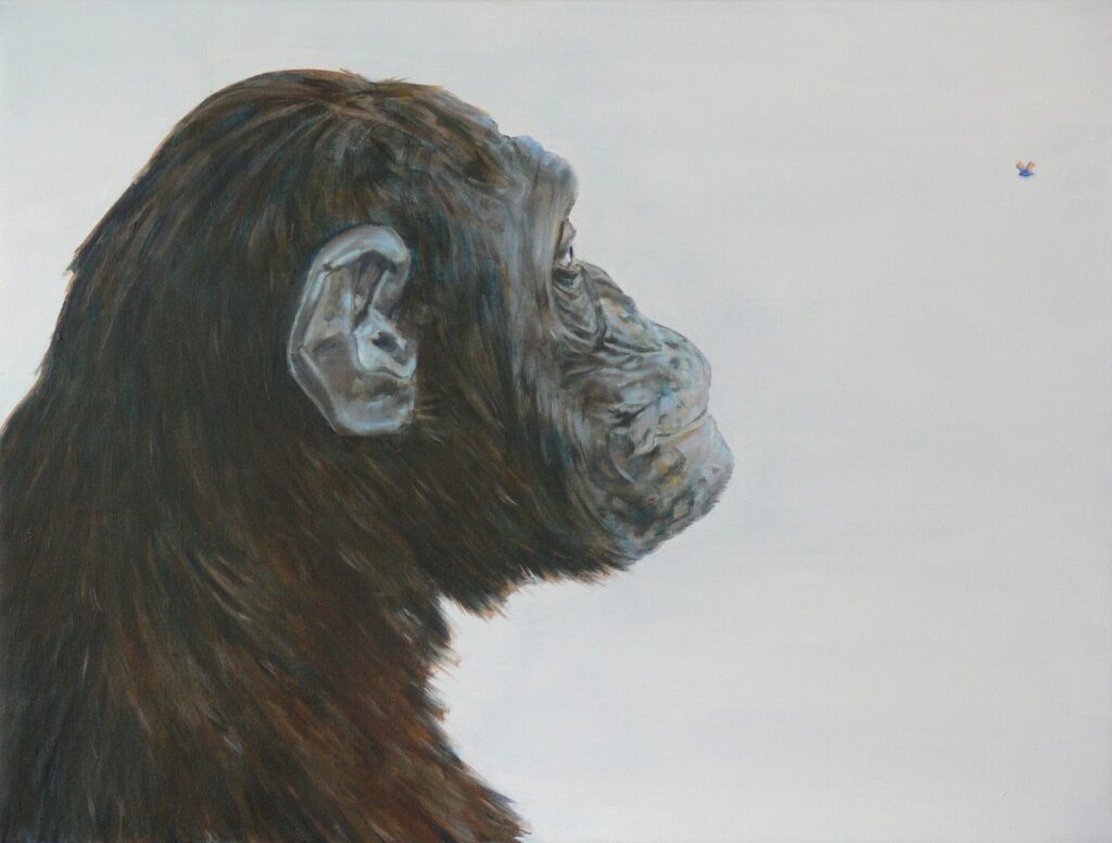 abe-60x80-2008