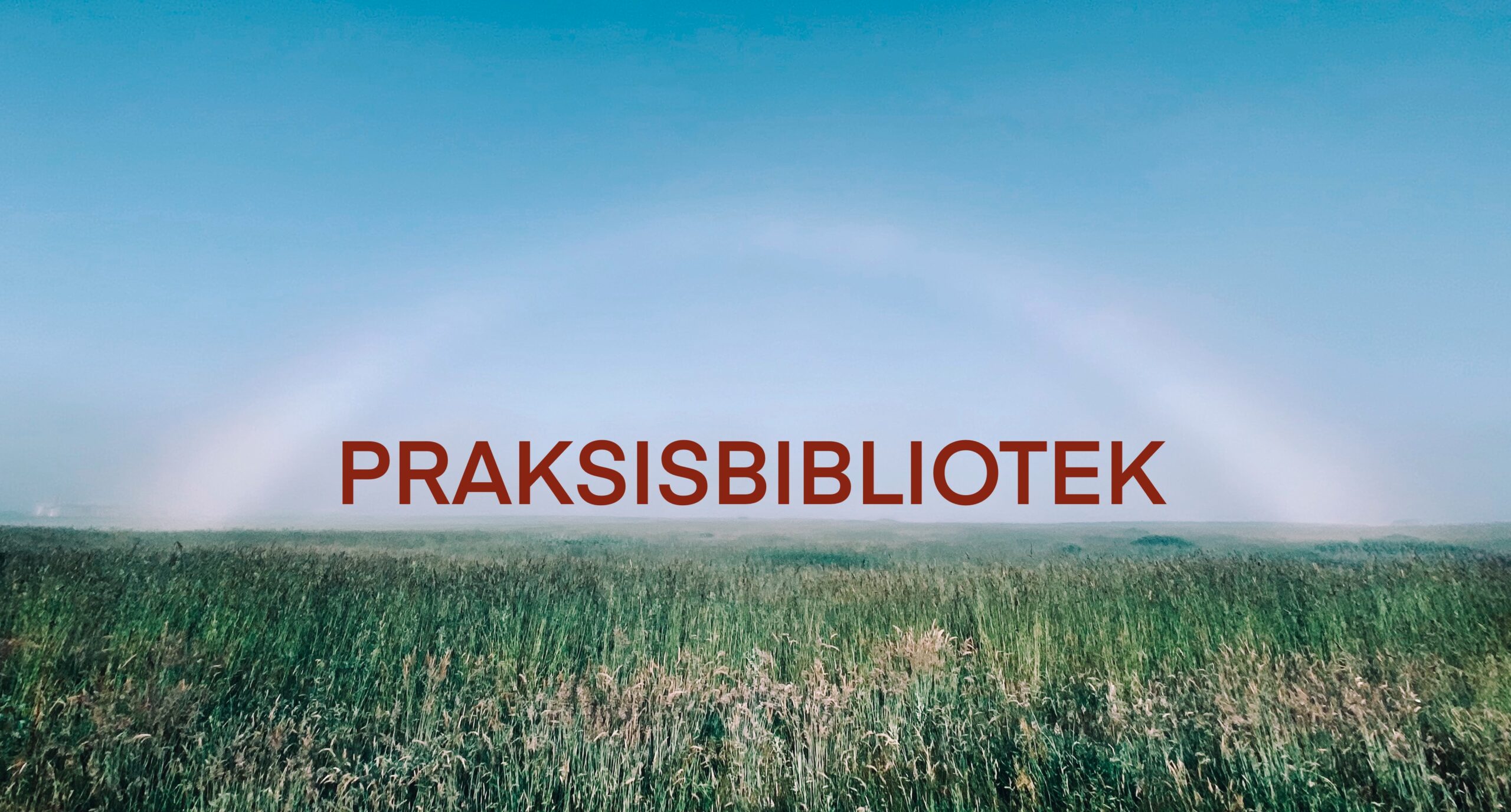 PRAKSIBIBLIOTEK