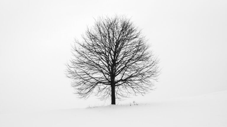 TRE landscape