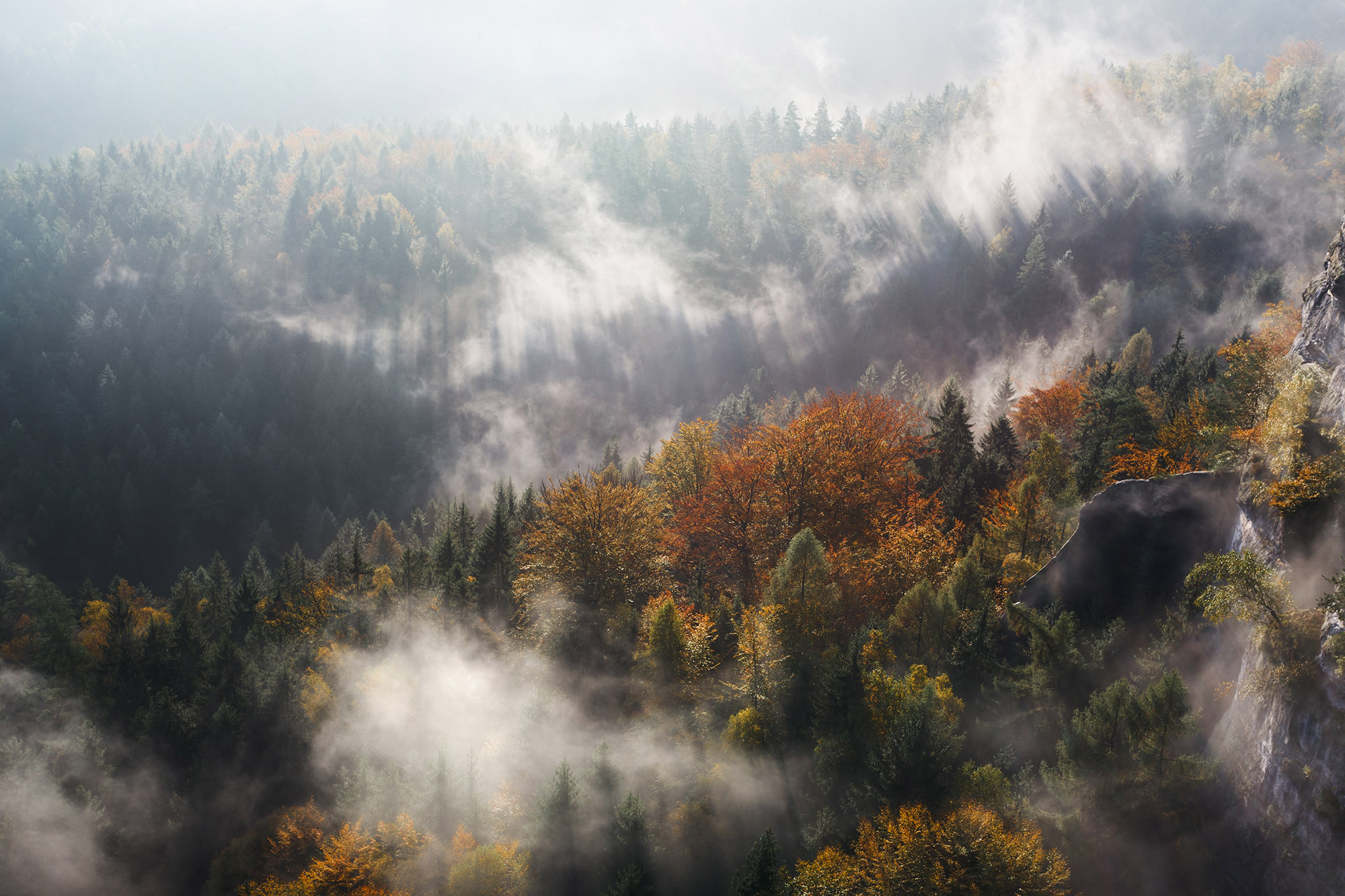 artem-sapegin-unsplash