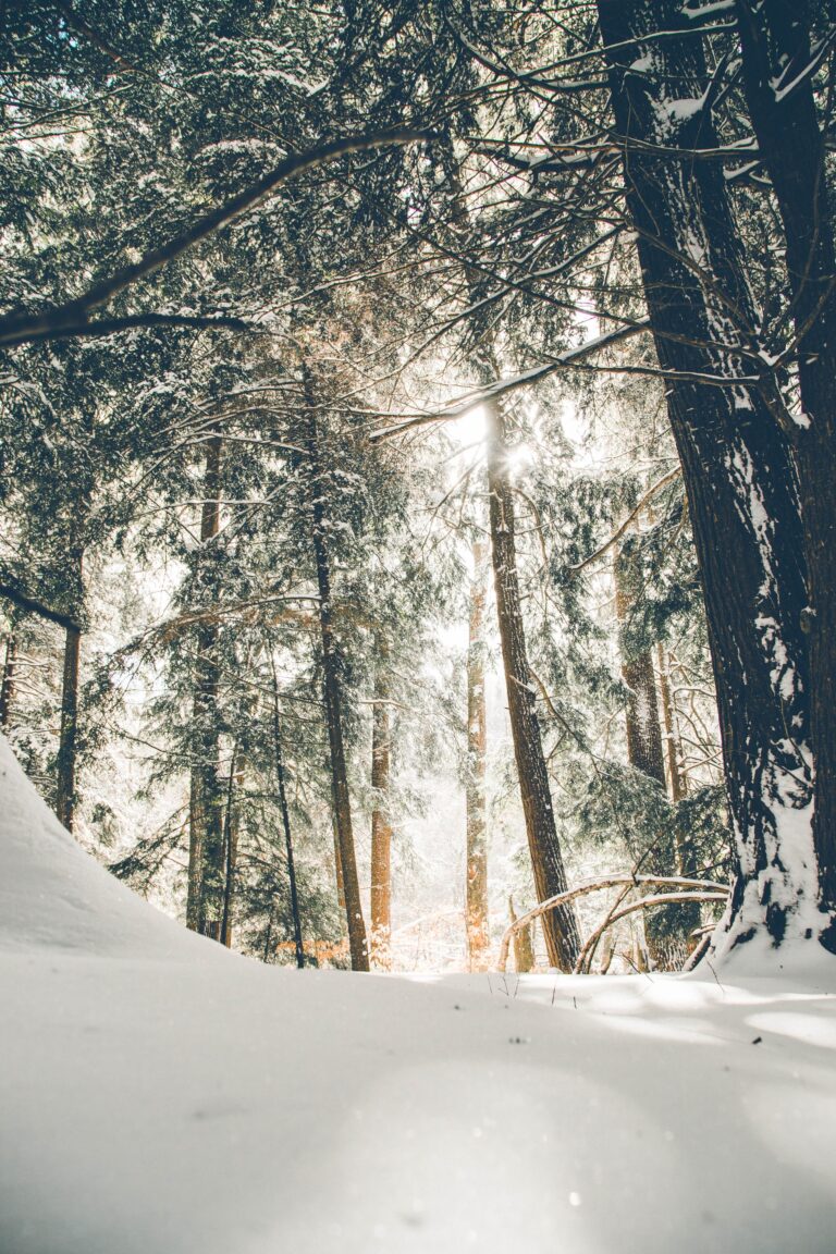 Vinterskov-Donnie-Rosie-unsplash