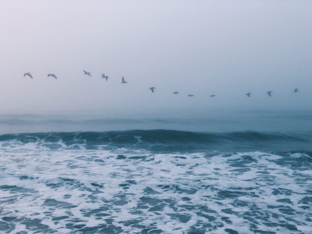 aaron-burden-7YiqRskXZ10-unsplash