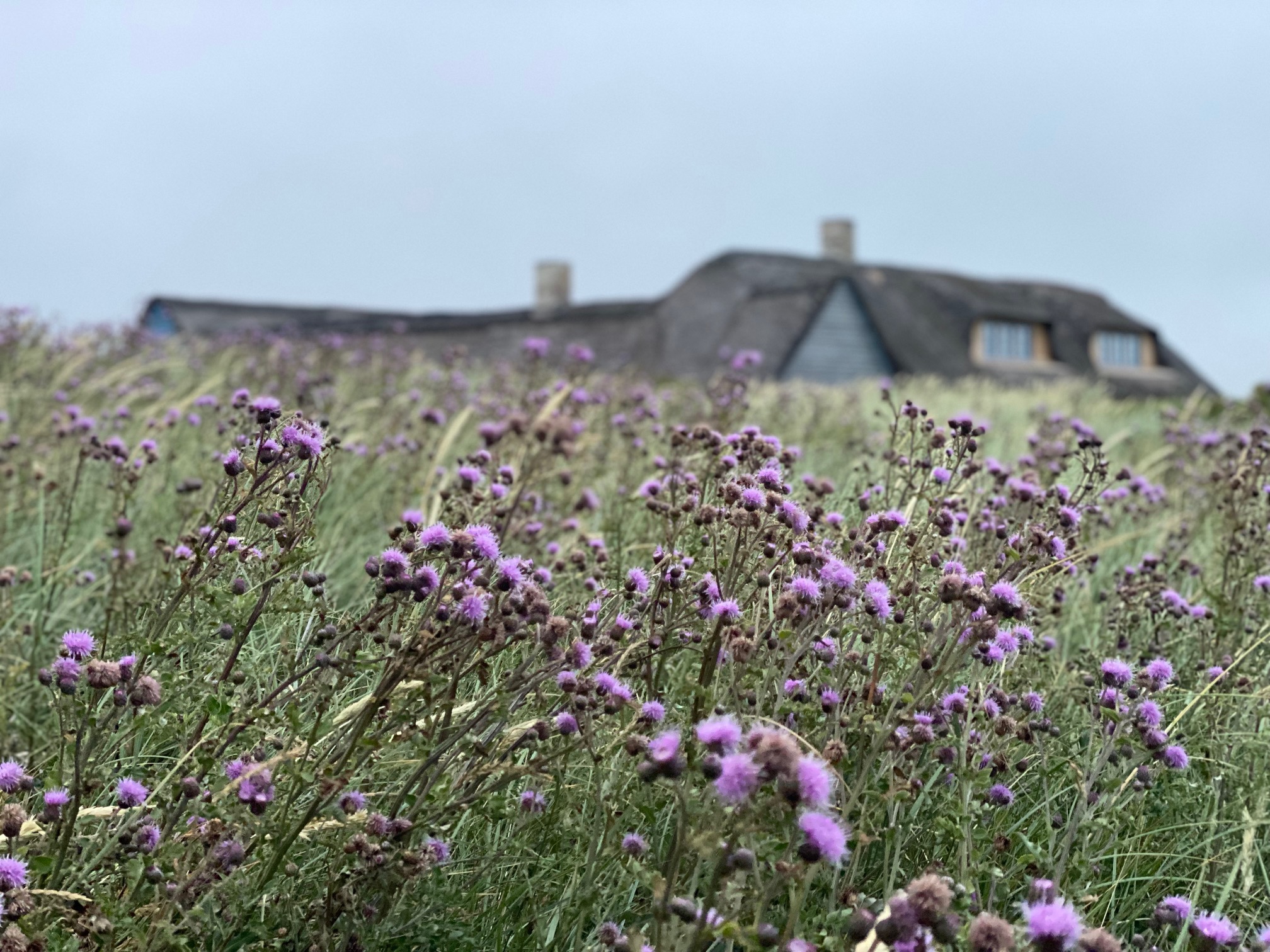 Øster Løkke