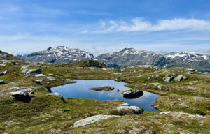 Vi er natur. Foto: Kristin Koll