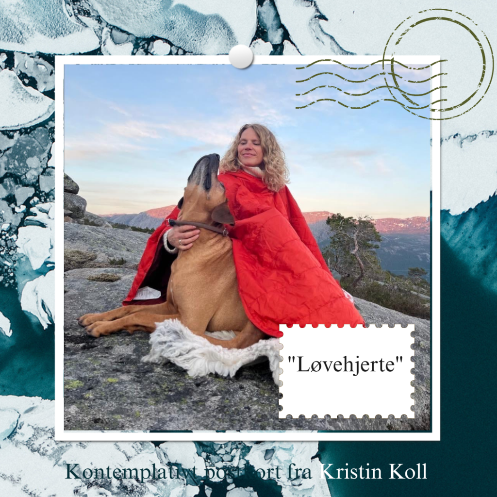 Blog_løvehjerte_KristinKoll_postkort