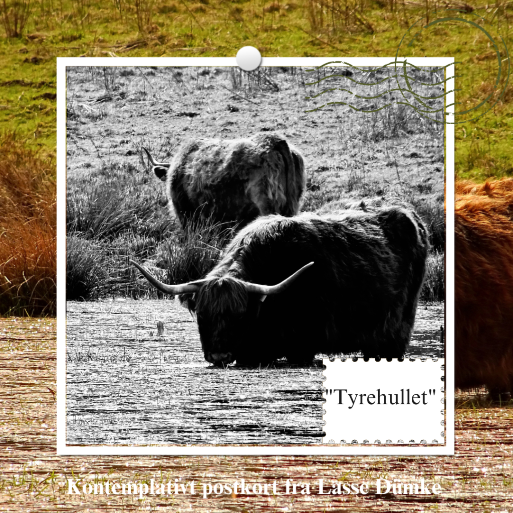 Postkort: Tyrehullet_Lasse . Foto: MIchael M/Unsplash