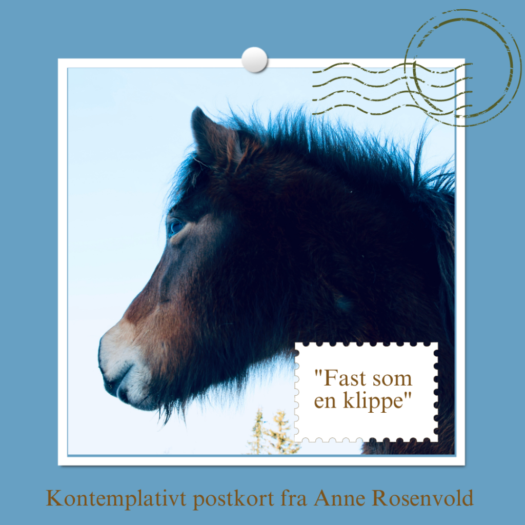 Postkort: Fast som en klippe_Anne Rosenvold