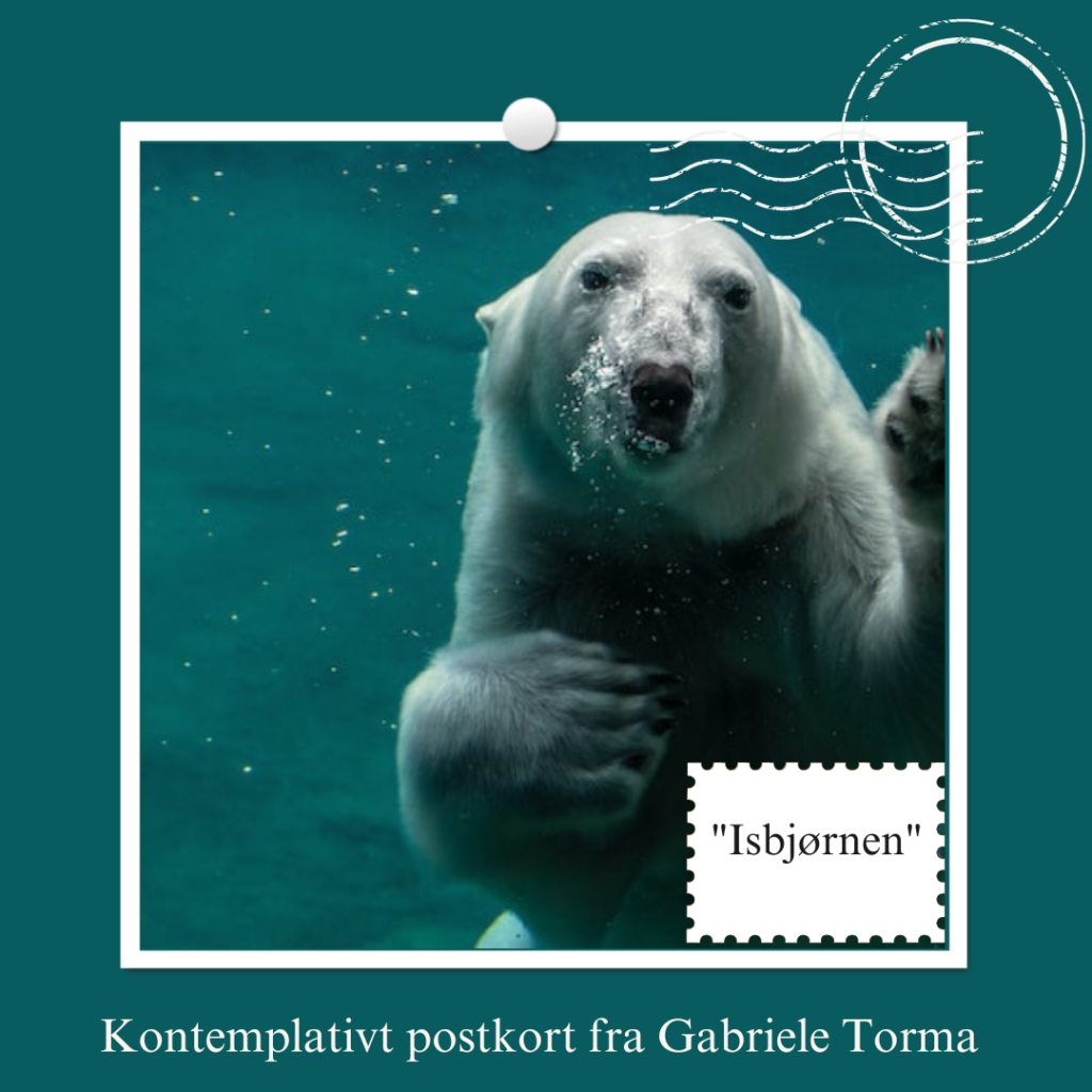 IsbjørnenGabrieleTorma
