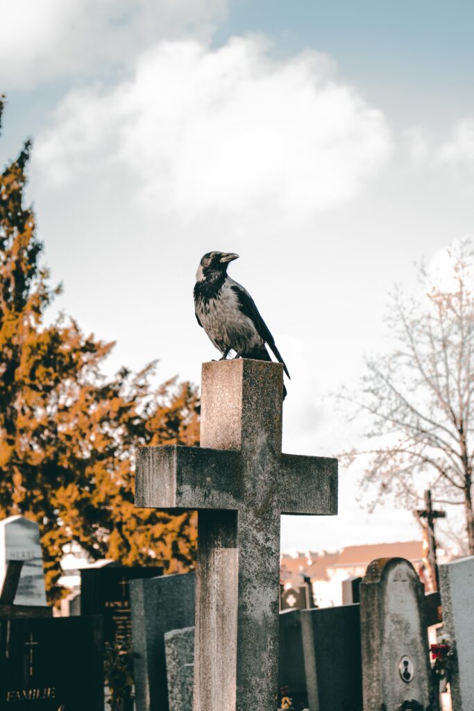 Sissel_2_matthias-mullner-aCulDYnDe9o-unsplash