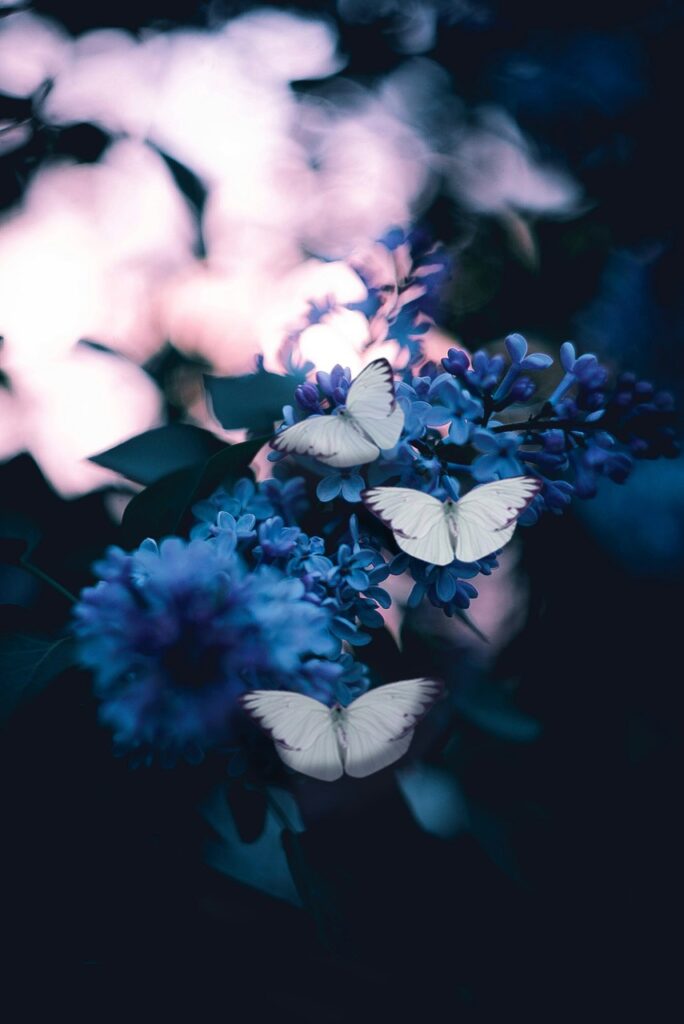 karina-vorozheeva-Kol2ib6ehQE-unsplash