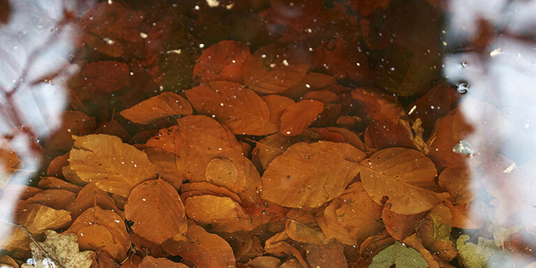 23.01_Grounding Terapi_Ulrik_16-9