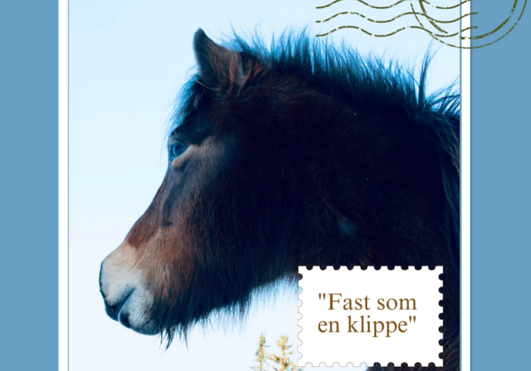 Postkort: Fast som en klippe_Anne Rosenvold
