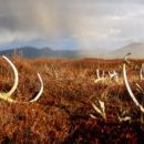 Foto: Jeanette Lykkegård