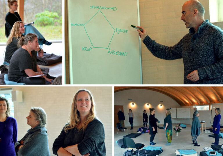 Collage Martin modul 5