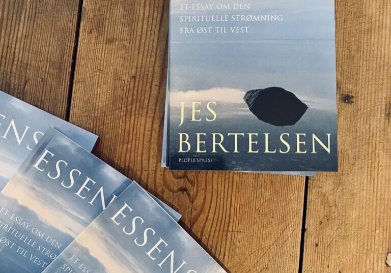 Essensen_Jes Bertelsen_Indblik