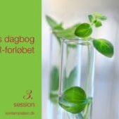 Katrines dagbog del 3