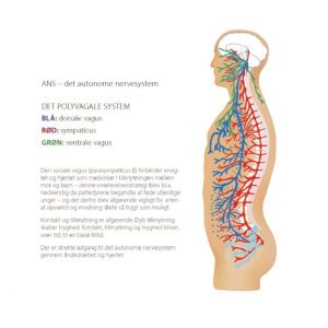 Social_baeredygtighed_modeller_s.42 kopi