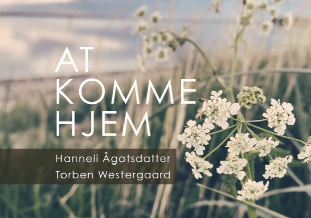 at komme hjem_transparency