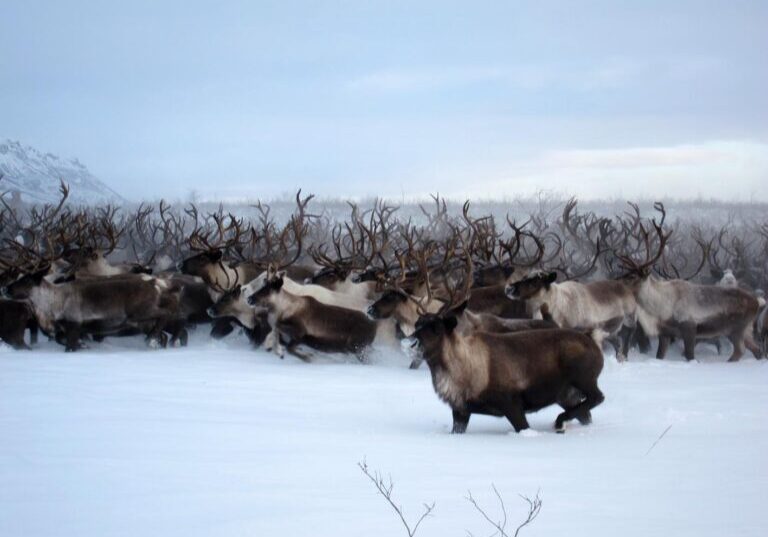 Photo: Jeanette Lykkegård