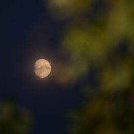 Månde på nattehimmel