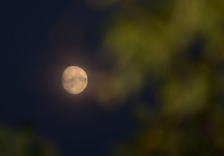 Månde på nattehimmel