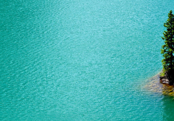 Foto: Jeanette Lykkegård